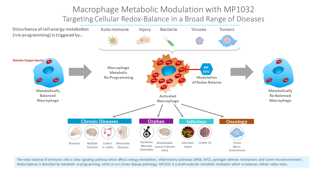 MetrioPharm-Macrophage-Metabolic-Modulation-With-MP1032